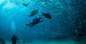 Scuba divers and life insurance